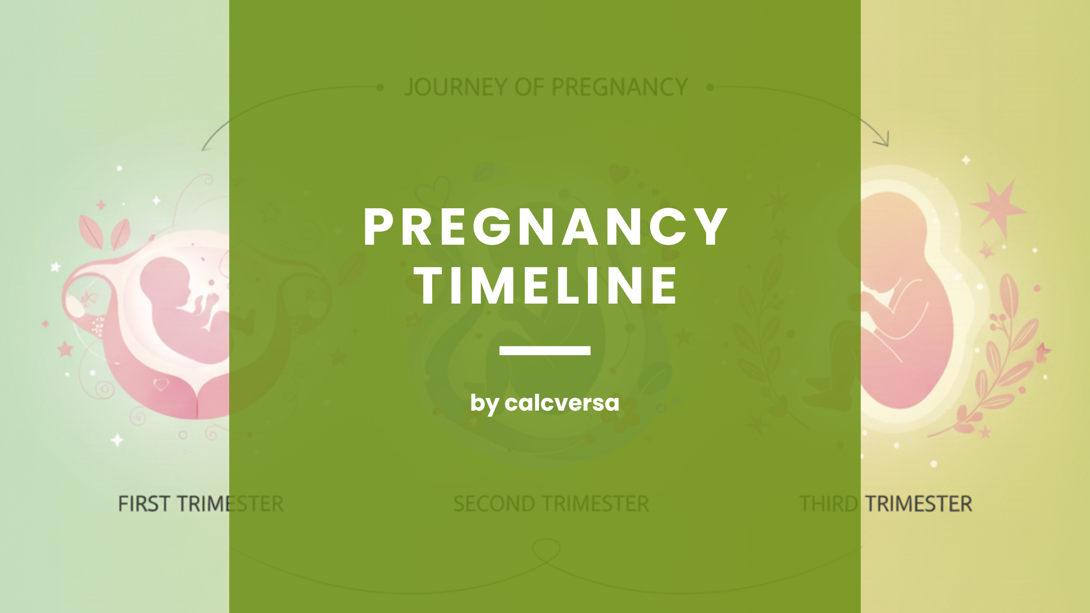 Pregnancy Timeline
