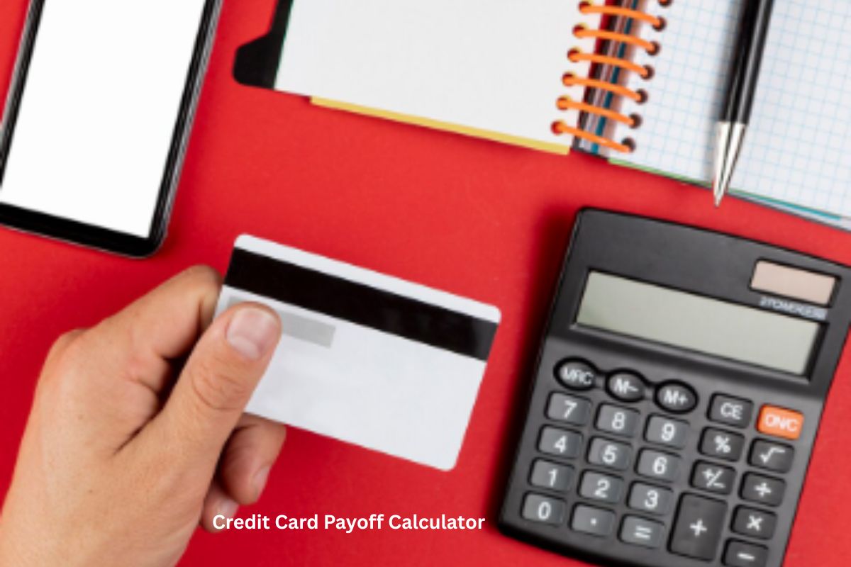 Credit Card Payoff Calculator: Take Control of Your Debt