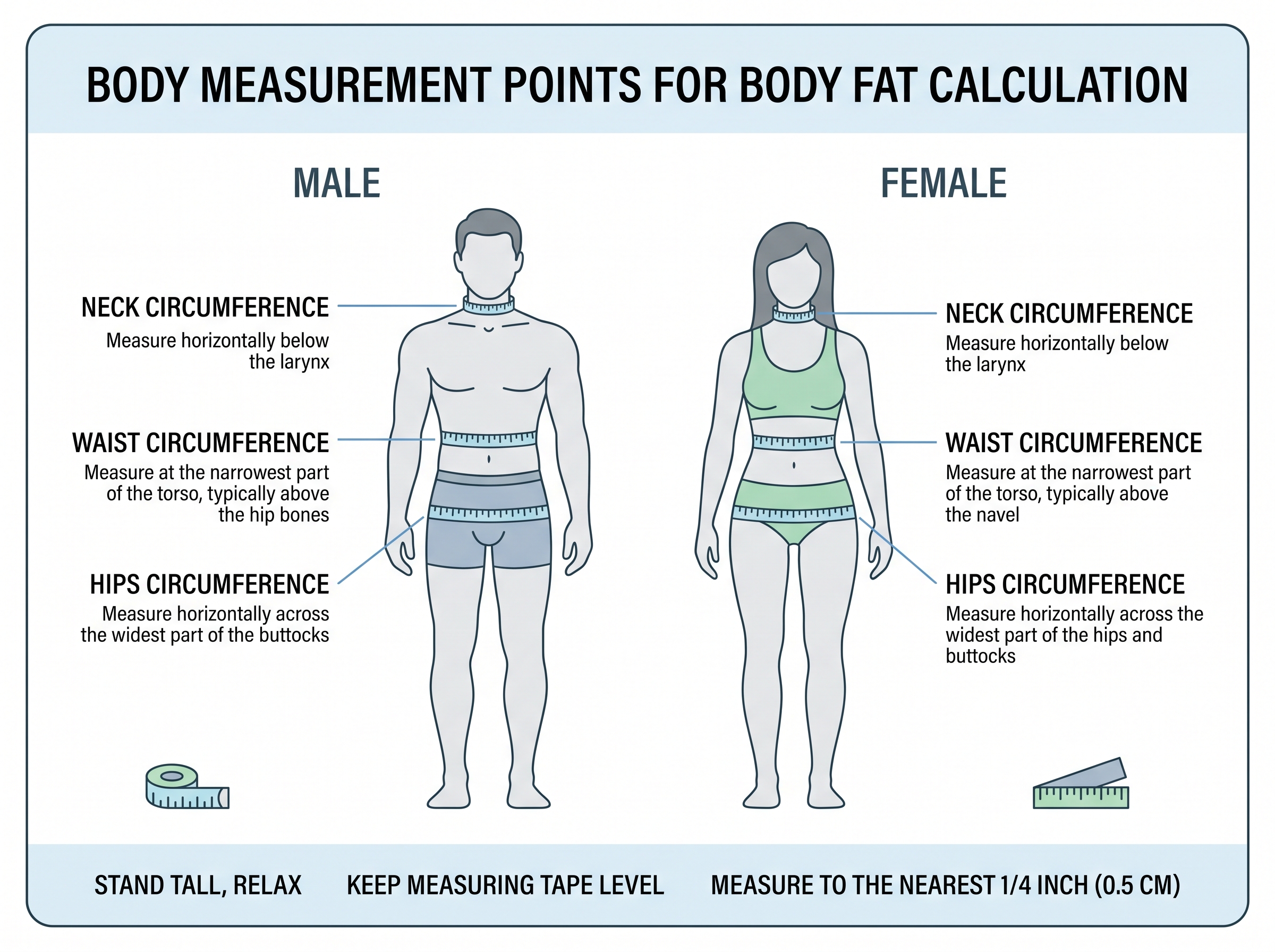 calculate-body-fat percentage